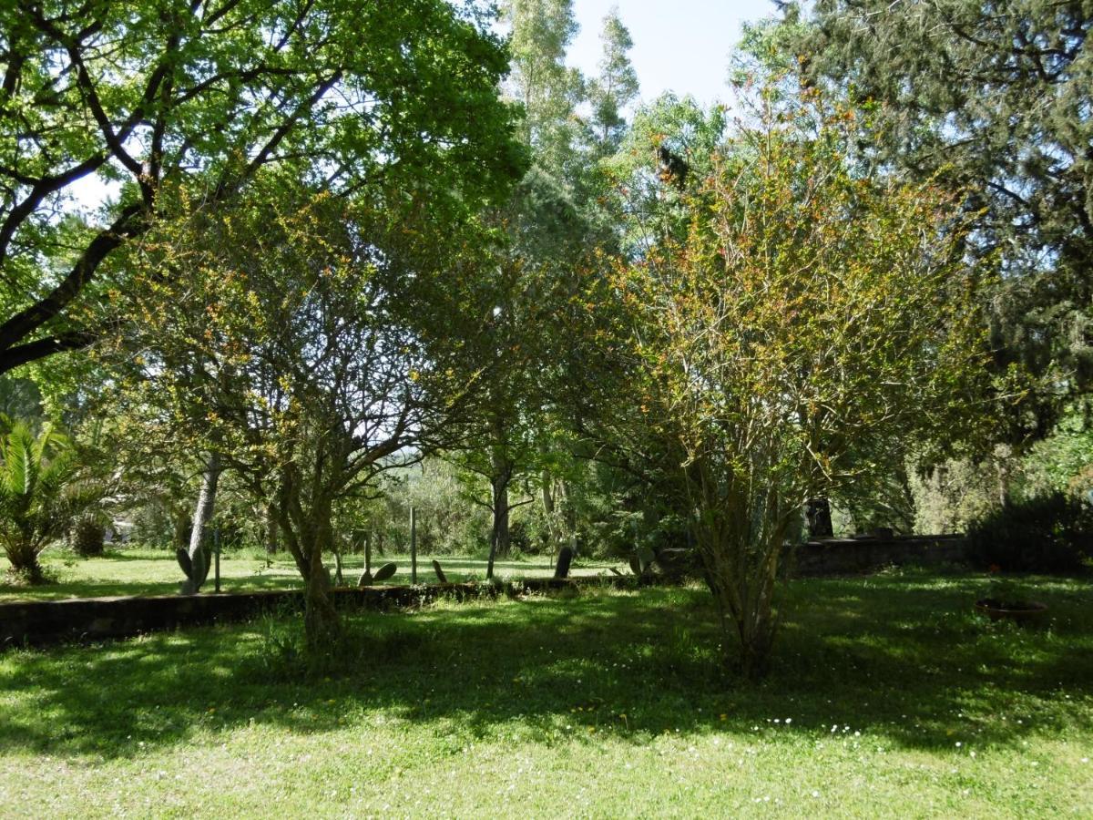 Poggetto Masino Villa Suvereto Bagian luar foto