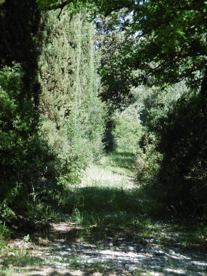 Poggetto Masino Villa Suvereto Bagian luar foto