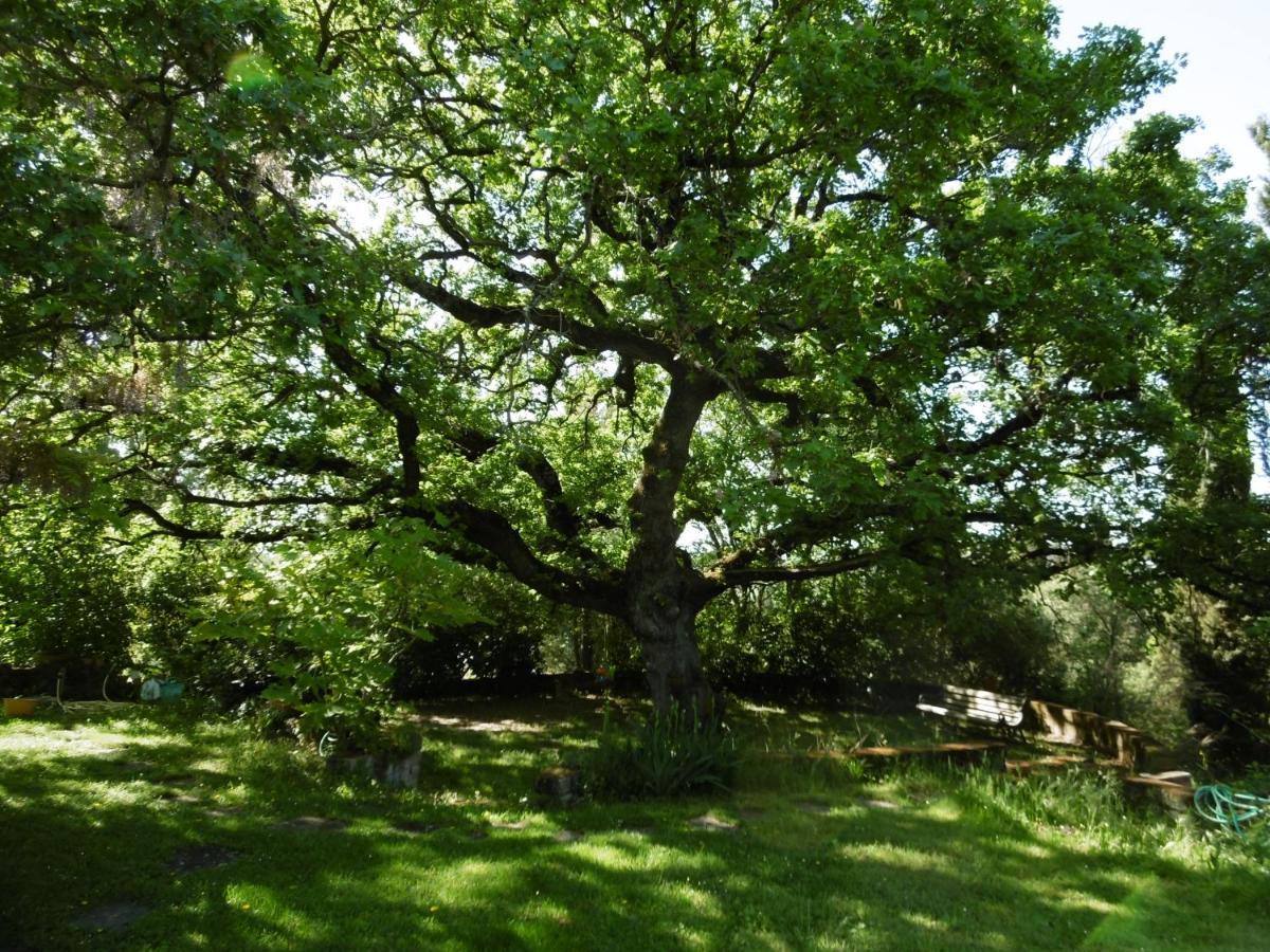 Poggetto Masino Villa Suvereto Bagian luar foto