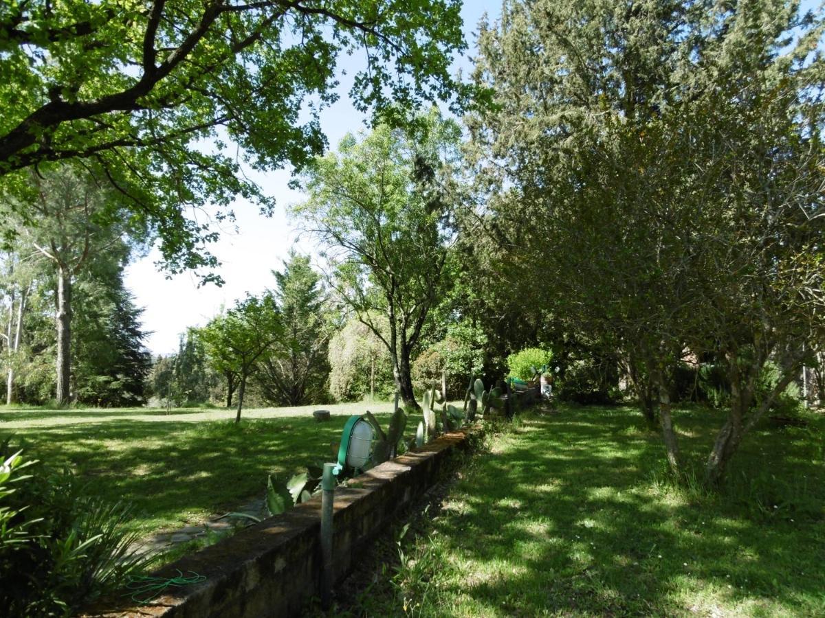 Poggetto Masino Villa Suvereto Bagian luar foto