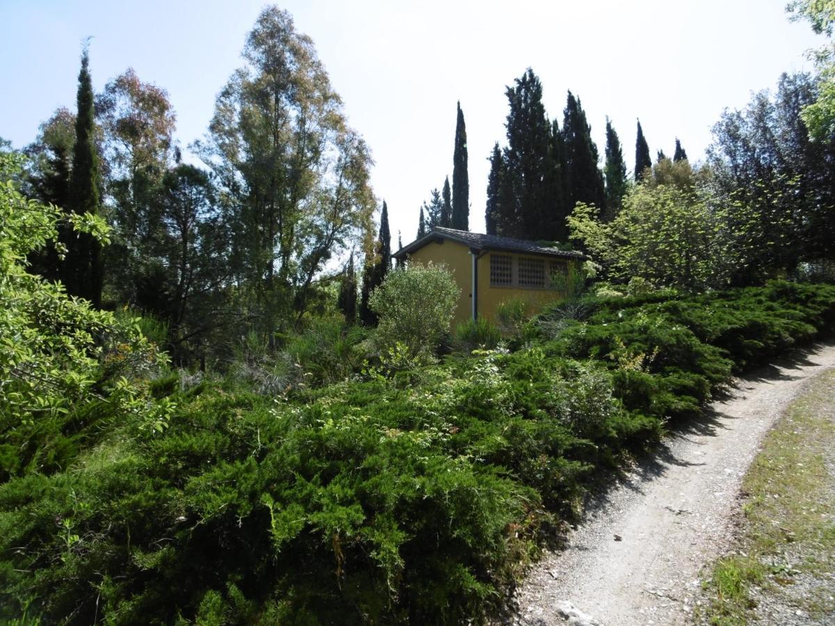 Poggetto Masino Villa Suvereto Bagian luar foto