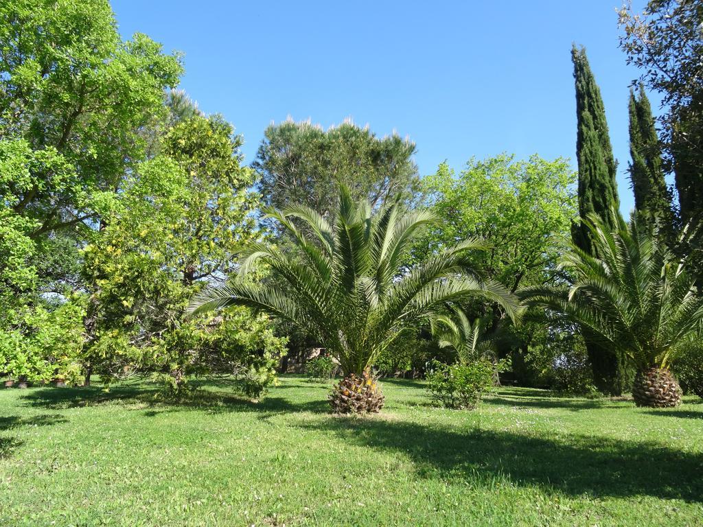 Poggetto Masino Villa Suvereto Bagian luar foto