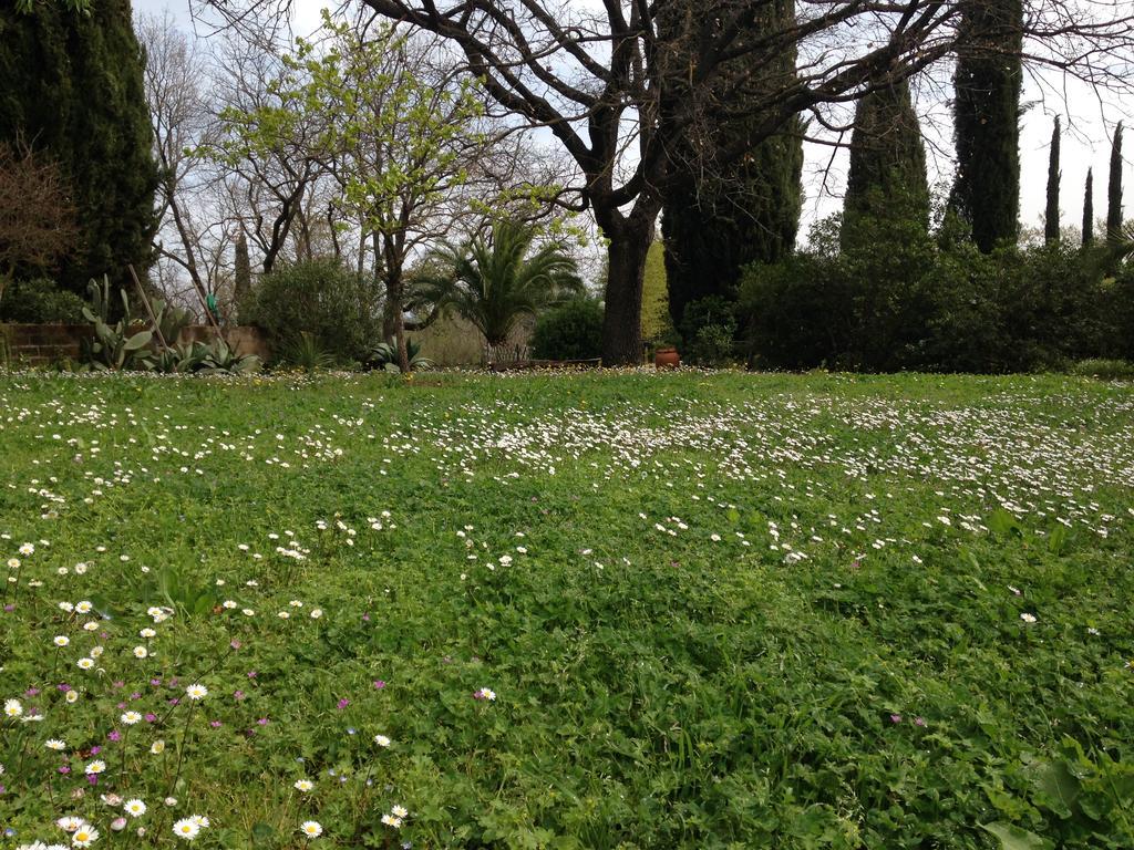 Poggetto Masino Villa Suvereto Bagian luar foto